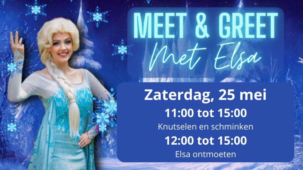 Meet greet Elsa